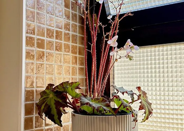 Cobalto 2 Quartos Parque Pet Friendly アパート *