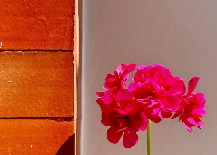 アパート Cobalto 2 Quartos Parque Pet Friendly *